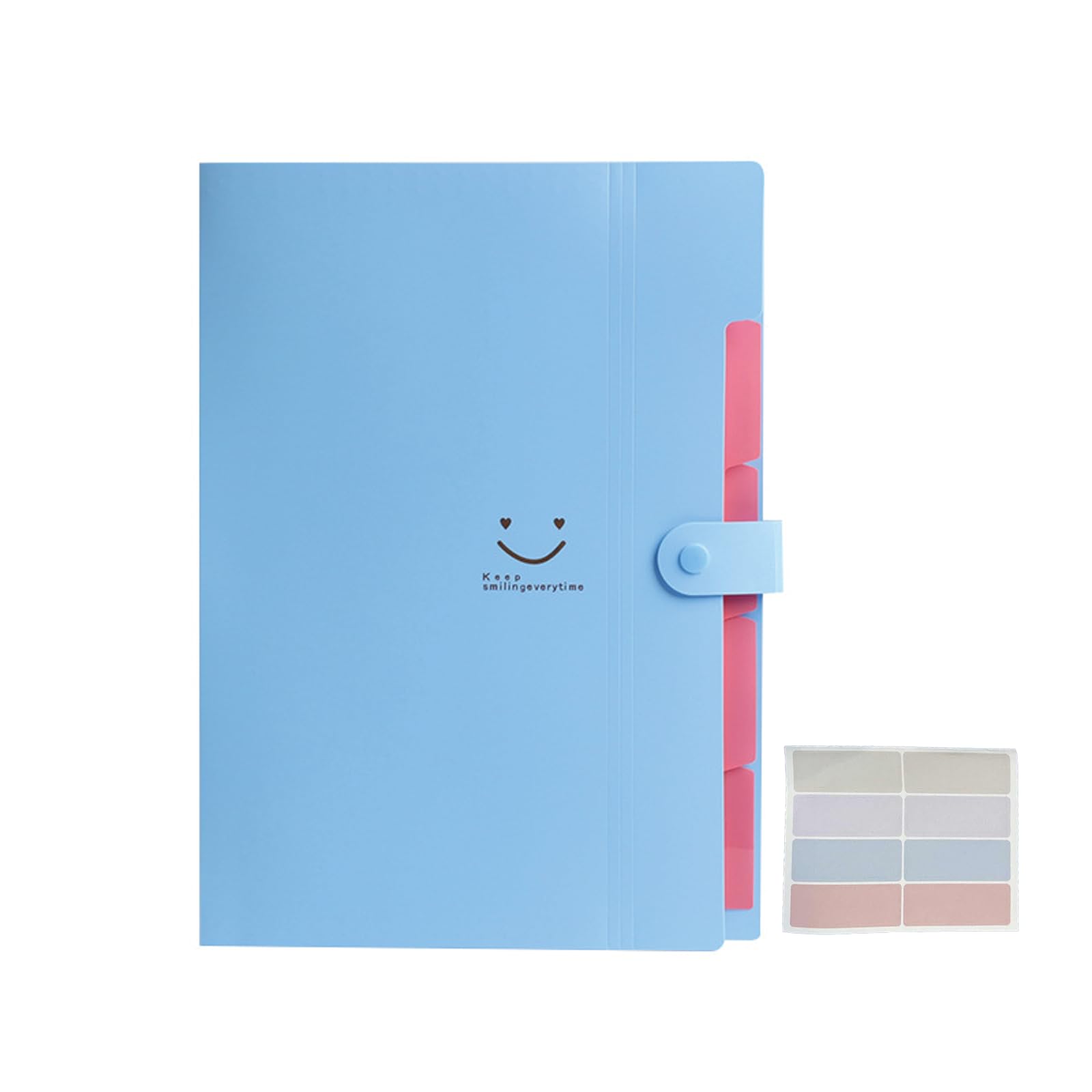 Folder 5/Folder+Folder 5 COMPLETE BOX〈完… Expanding Folder A4, Expandable File Folder with 5 Compartments