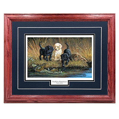 List of Top Ten Best Paint Colors For Cherry Wood Top Picks 2023 Reviews