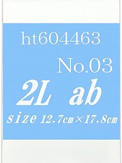 画材 ht604463 2L2枚-No.03