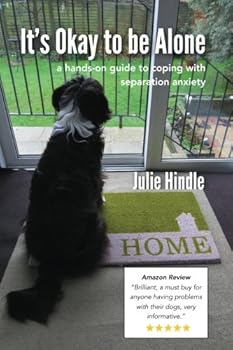 Paperback It's Okay to be Alone: a hands-on guide to coping with separation anxiety Book