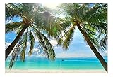 wall26 - Large Wall Mural - Tropical Scenery with Palm Trees | Self-Adhesive Vinyl Wallpaper/Removable Modern Decorating Wall Art - 66
