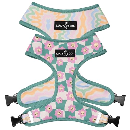 Lucy & Co. Cute Reversible Dog Harness Walking Halter - Best Designer Pet Harnesses for XS - XL Dogs - Padded Adjustable Vest for Easy Walking. (Just Chill Reversible Harness).