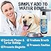 Bodhi Dog Peppermint Dental Dog Water Additive - Dental Water Additive for Dogs & Pets - Teeth, Breath & Healthy Gums - Freshens Breath & Reduces Tartar Build Up - Oral Care Cleaner- Made in USA, 17oz