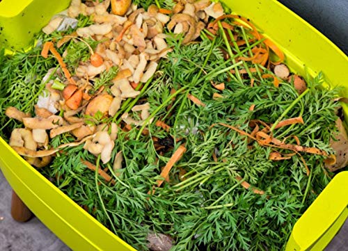 SUPERWURM-500-g-Kompostwuermer-Dendrobena-ca-550-lebende-Wuermer-fuer-Komposter-Wurmkiste-und-zum-Angeln-Bioabfall-in-organischen-Duenger-umwandeln-Riesenrotwurm-als-Kompostbeschleuniger