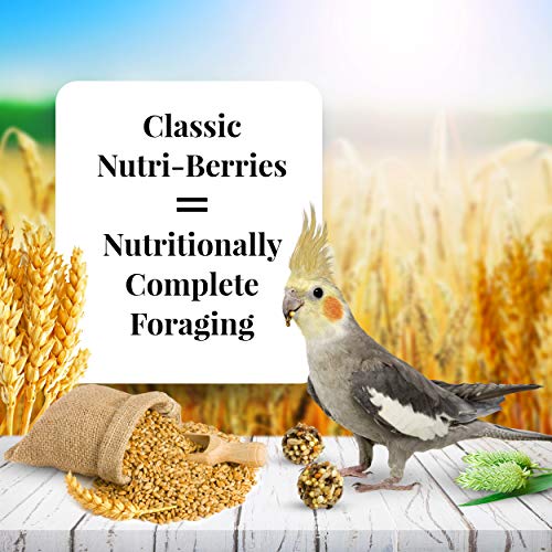 Lafeber's Classic Nutri-Berries Pet Bird Food, Made With Non-Gmo And Human-Grade Ingredients, For Cockatiels, 4 Lb #TOP1