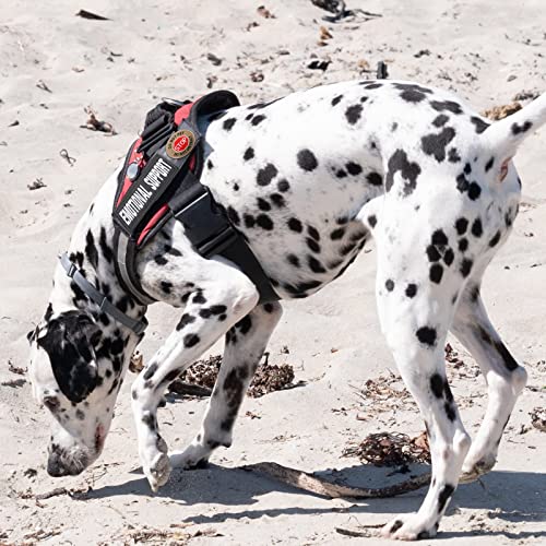 25 Pack Service Dog Patches Tactical Dog for Harness Patches Embroidery Do Not Pet Vest Patches in Training American Flag Patch Removable Tactical Patches Collar Leash