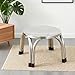 Generic Stacking Stool Furniture Stools Stainless Steel Practical Commercial Classroom Stools Round Stool for Home Dining Room Garden, 22cm