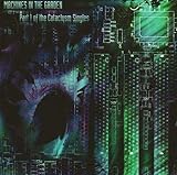 Alligatoren in der Kanalisation