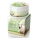 Wild Ferns Lanolin Night Creme with Collagen, Placenta, and Propolis for Combination/Oily Skin