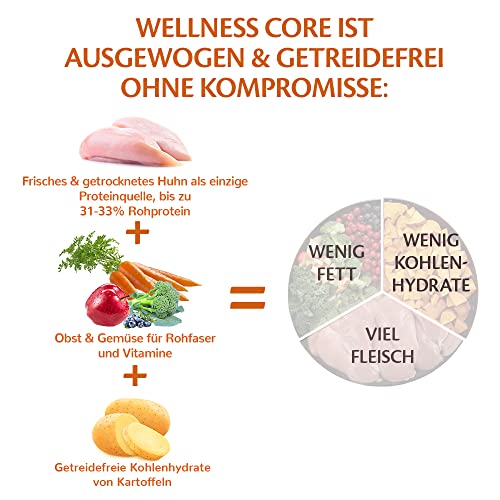 Wellness CORE Puppy 2.75 kg, Huhn – Hundefutter Trocken für große Welpen, getreidefrei, natürlich, hypoallergen, proteinreich, hoher Fleischanteil, unterstützt die Entwicklung von Gehirn und Augen