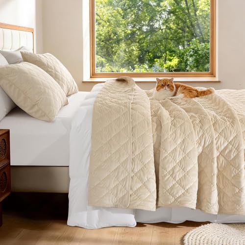 50% Off Luxury Velvet Quilt Set Queen Size 3 Piece - Image 7