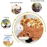 Nocciola Dog Squeaky Toys, 5 PCS Crinkle Plush Dog Toys, No Stuffing Dog Toys for Small Medium Large Dogs, Stuffless Puppy Toys for Boredom - Image 6