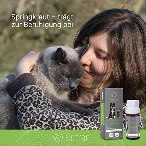 Beruhigungsmittel für Katzen mit Nutrani Bachblüten Globuli