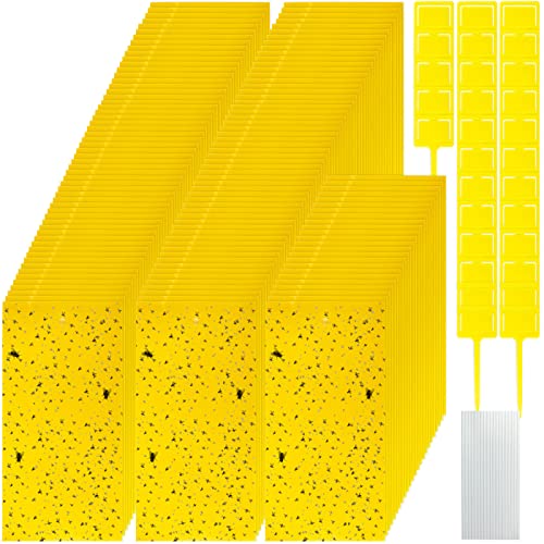 550 Pcs 7.9 x 4 Inch Sticky Traps for Plant