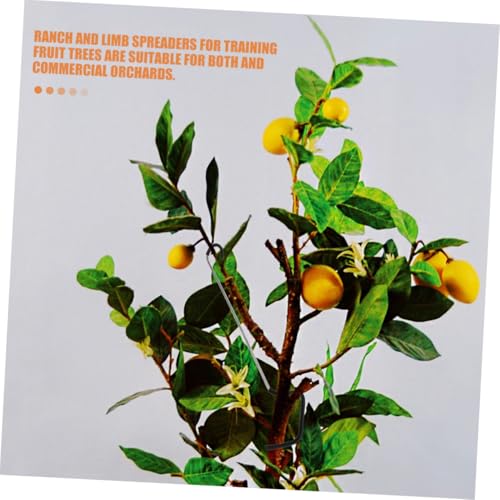 20 Piezas Separadores de Ramas para Árboles Frutales miniatura 4