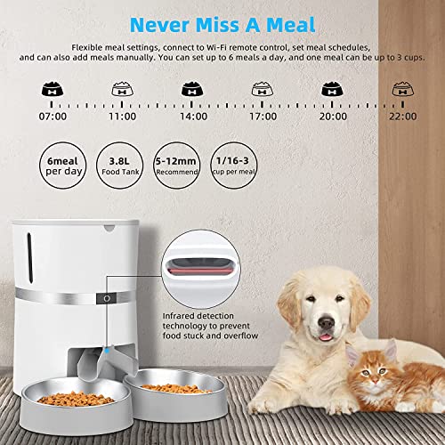 Automatic Cat Feeder, Smart Pet Food Dispenser With App Control ,Wifi Enabled Automatic Feeder For Dogs, Cats & Small Pets, Double Stainless Steel Bowls,6 Meals Portion Control And Voice Recording #TOP3