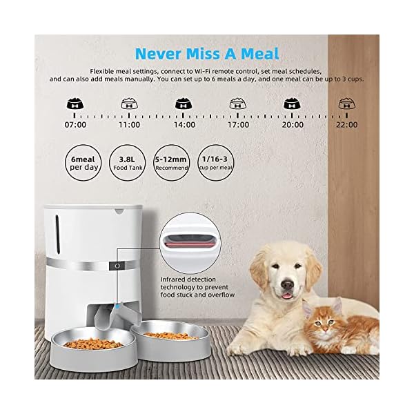Smart Cat Feeder, WellToBe Automatic Cat Feeder WiFi Enable Pet Dog Food Dispenser App Control for Cat & Dog with Two-Way Splitter and Two Bowls, Voice Recorder Distribution Alarms, Portion Control Smart Cat Feeder, WellToBe Automatic Cat Feeder WiFi Enable Pet Dog Food Dispenser App Control for Cat & Dog with Two-Way Splitter and Two Bowls, Voice Recorder Distribution Alarms, Portion Control