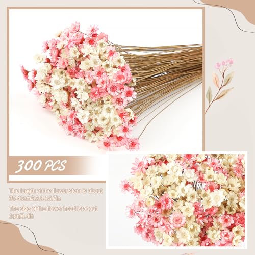 Mini flores secas margaritas brasileñas 300 unidades miniatura 2