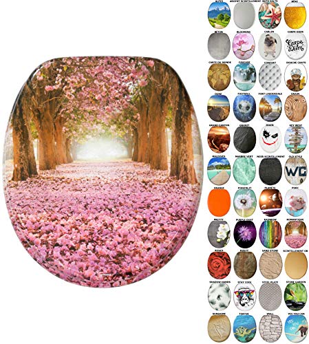 Sanilo Abattant WC frein de chute, Grande sélection de lunettes de toilette, Finition de haute qualité, Fixation facile (Romantique)