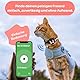 LipCat® Premium AirTag Katzenhalsband – Gepolstert, reflektierend & verstellbar – mit Sicherheitsverschluss & Fester Halterung für Apple AirTag, Schwarz