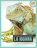  La iguana (Un foco en la naturaleza)