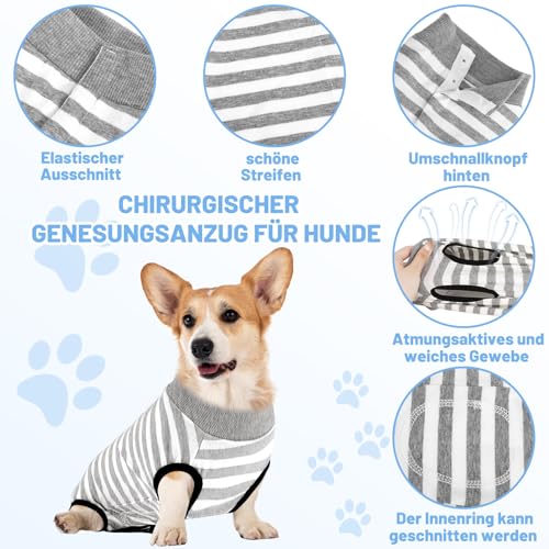 patinadrift Hundebody Nach Op Hunde Body Operation Hündin Rüde Hundebody Wundschutz Erholungsanzug für Hund Body Kastration Hund nach der Operation Kegel-Alternative(Grey,S)