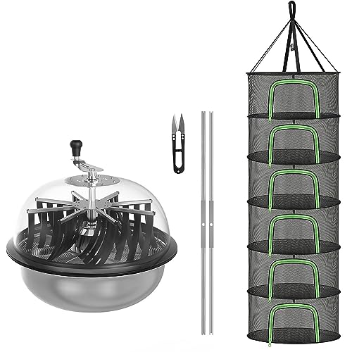 View 2