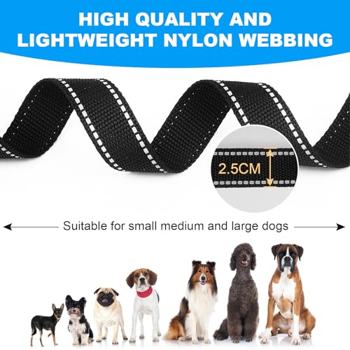 Détail du mousqueton renforcé de la longe