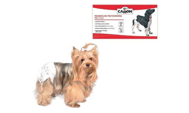 Camon Pañales absorventes Talla L 12pz 20 ml