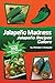 Jalapeno Madness: Jalapeno Recipes Galore