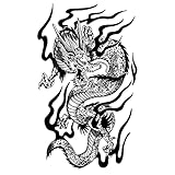 Inkbox Temporary Tattoos, Extra-Large Semi-Permanent Tattoo, One Premium Easy, Long Lasting, Water-Resistant Temp Tattoo with For Now Ink - Lasts 1-2 Weeks, Mythology Tattoo 5.5x9 in, Dragon Tail