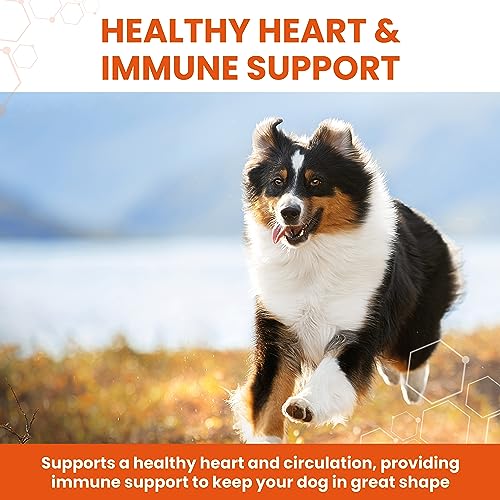 Vetzyme Knoblauch Tabletten, 240 Tabletten
