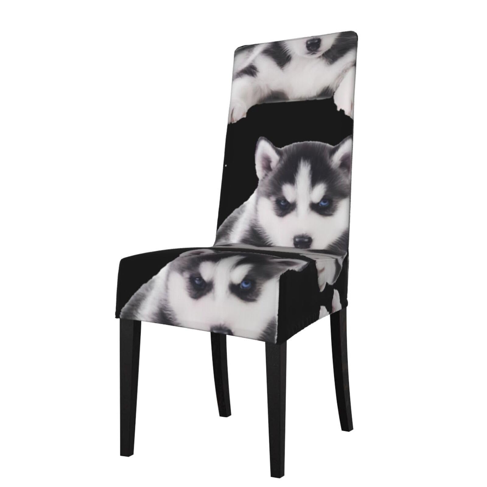 WHJDPP Cute Dog Prints Dining Chair Throw Covers – Stretchy & Wrinkle-Resistant Seat Layers for Home, Hotel, and Event Decor
