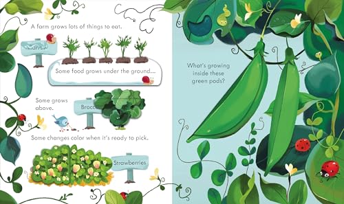 Peek Inside the Farm: An Engaging Lift-the-Flap Book About Farm Animals and Vegetables for Children (Ages 3-5)