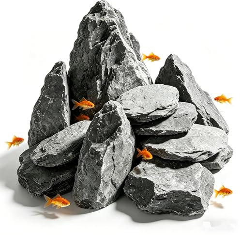 MplehDa Natürliche Seiryu Steine 3-6cm Aquarium Steine Mini Landschaft 1kg Aquarium Deko Steine für Aquascaping Aquariengestaltung Terrarium Vivarium