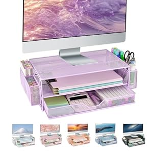 AUPSEN 2-Etagen Monitorständer mit Stifthaltern