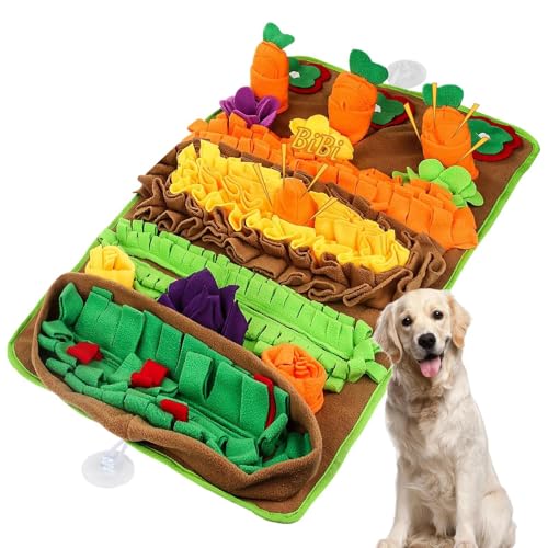 Compétences de recherche pour chiens développées via tapis puzzle