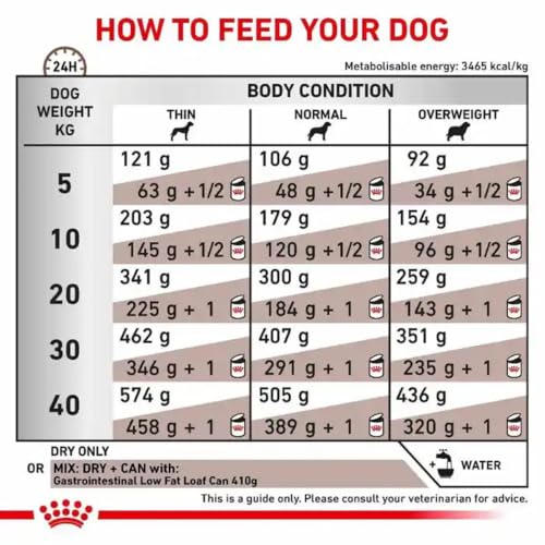 Royal Canin Dog Gastro intestinal Low Fat, 1er Pack (1 x 12 kg)