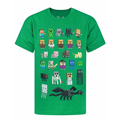 Minecraft - Camiseta Oficial diseño Personajes Sprites para niños (12-13 Años/Verde)