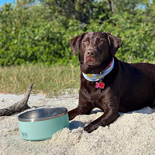 YETI Boomer Dog Bowl, Seafoam, 8-Cup by YETI - Image 6