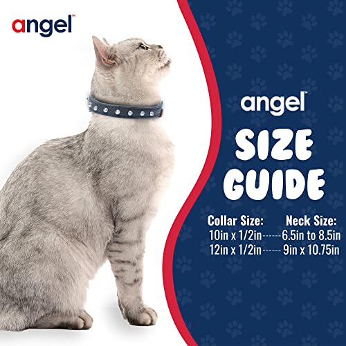 Genuine Leather Safety Studded Cat Collar | Handmade Elastic Stretch Collar | Lightweight & Strong | 12" X 1/2", Midnight Black | Perfect For Kittens To Well-Fed Kitties | Angel Pet Supplies #TOP4