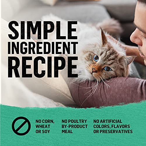 Purina Beyond 017800163859 Natural Grain Free Dry Cat Food Whitefish And Egg Recipe thumb #7