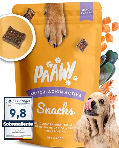 Paawy Condroprotector Perros con Glucosamina, Condroitina, MSM I ...