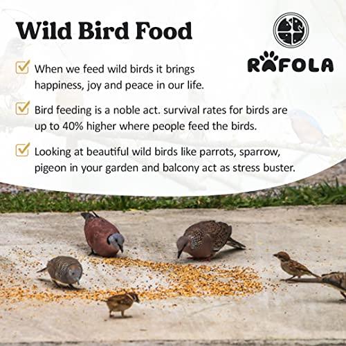 Image of Wild Bird Food Mix Seeds - Nourishing Sparrows, Finches, Pigeons & Wild Birds (1 Kg) For All Life Stages