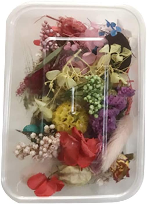 Yosemite 1 Bag Preserved Dried Flower DIY Artificial Plant Candle Resin Jewelry Making Book Gift Craft Decor Gift Random Style