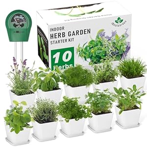 Herb Garden Kit Indoor Herb Garden Starter Kit – 10 Variety Herbs Kitchen Window Herb Garden Planter Indoor & Outdoor Growing Kit for Windowsill Countertop – Unique Gardening Gift for Women Men