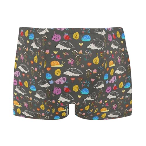 Cute Hedgehogs Mens Swim Trunk Swimwear Bathing Suit Swim Brief Square Leg Board Short S B0404937
