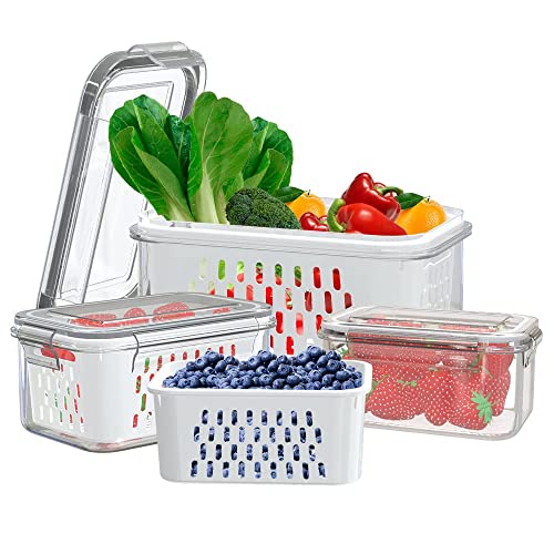 10 Best Produce Saver Containers Review And Buying Guide blinkx.tv