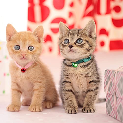Augshy Jingle Bells - Image 4
