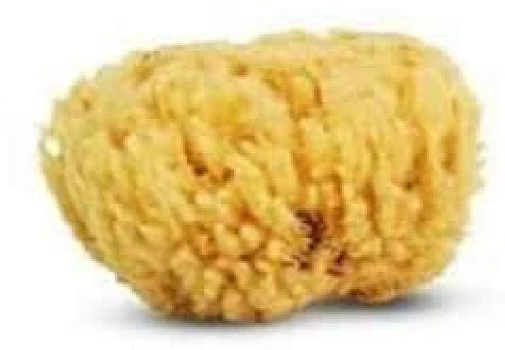 Cartel 5641 Natural Sea Sponge